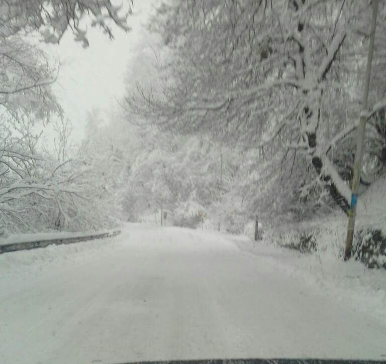 ერთდღიანი სათხილამურო ჯიპ-ტური ბაკურიანში ⛷⛷⛷⛷⛷⛷⛷