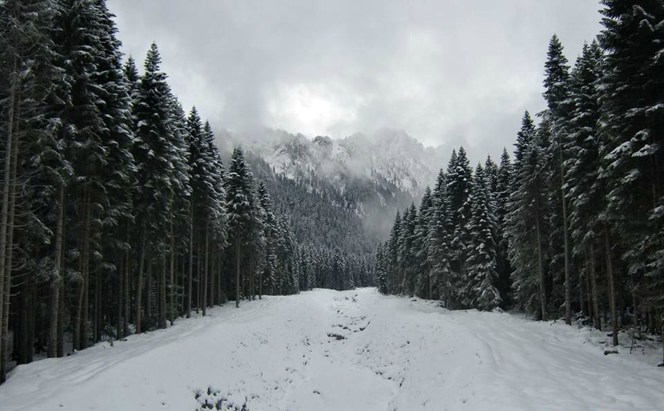 ძველთ ახალი წელი რაჭაში