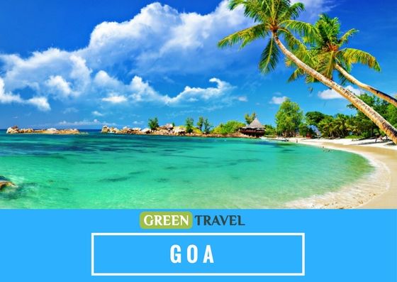 დაგეგმე თებერვალი გოაზე !! საუკეთესო ფასი მხოლოდ ჩვენთან