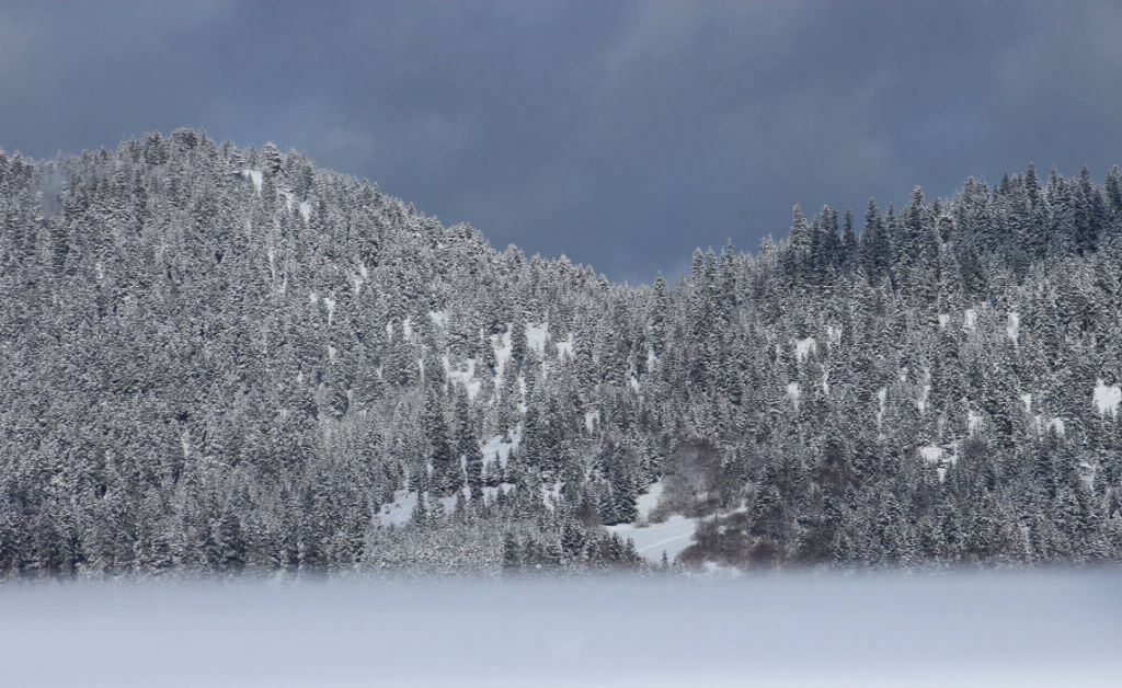 იანვარს შობა ბაკურიანში - მე- მიკროავტობუსში დარჩა რამოდენიმე ადგილი