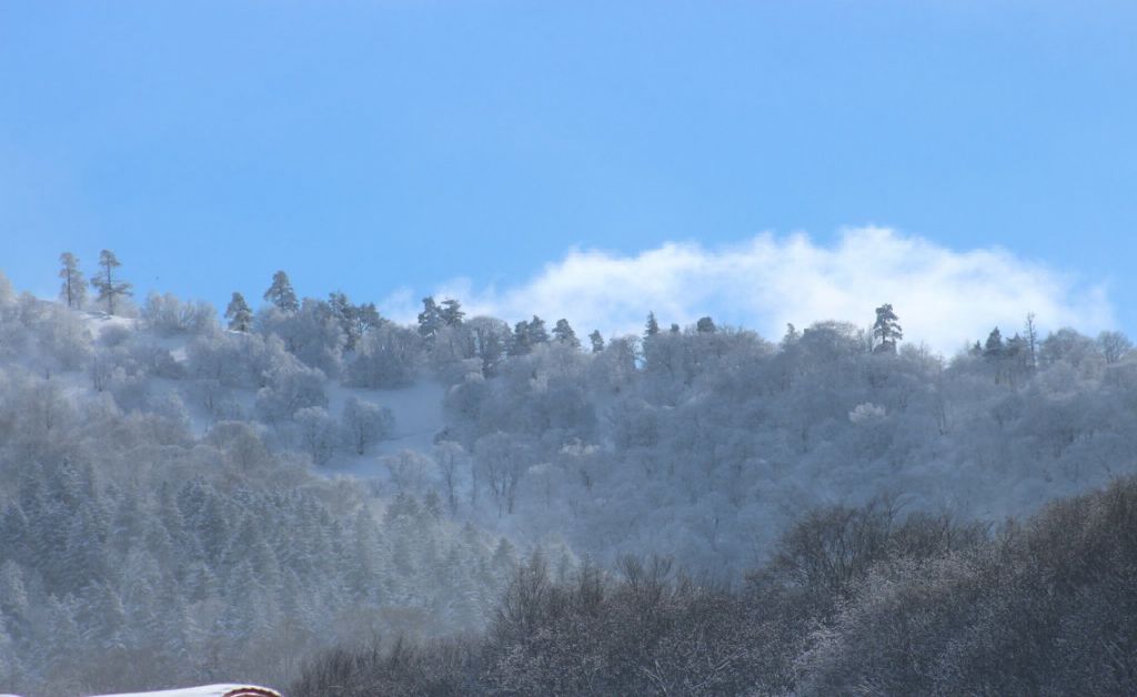 იანვარს შობა ბაკურიანში - მე- მიკროავტობუსში დარჩა რამოდენიმე ადგილი