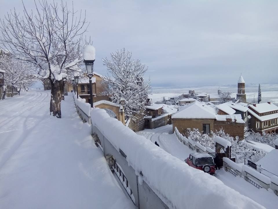 ტური სიღნაღში