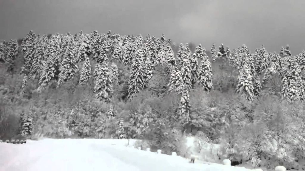 თოვლის ფესტივალი შოვში