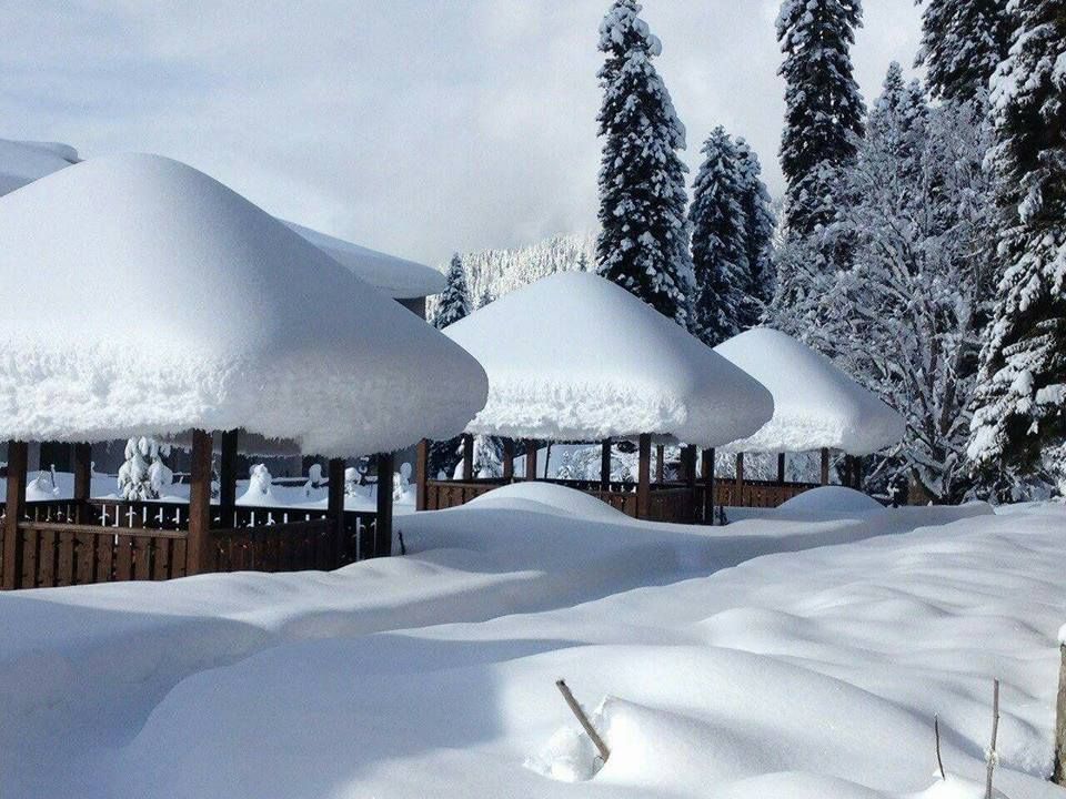 თოვლის ფესტივალი რაჭაში !