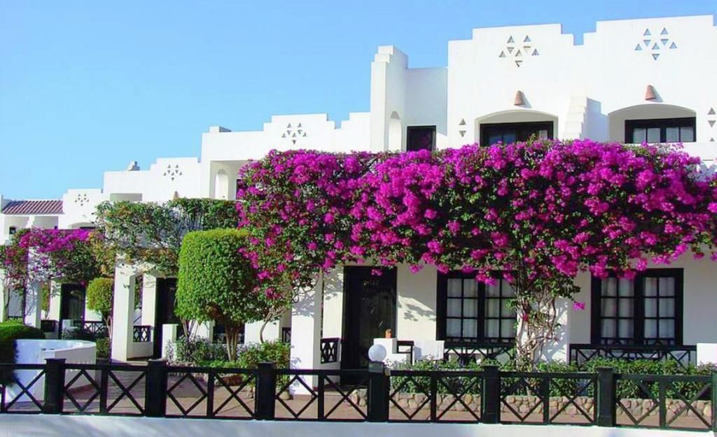 შეხვდი ძველით ახალ წელს შარმ ელ შეიხში: