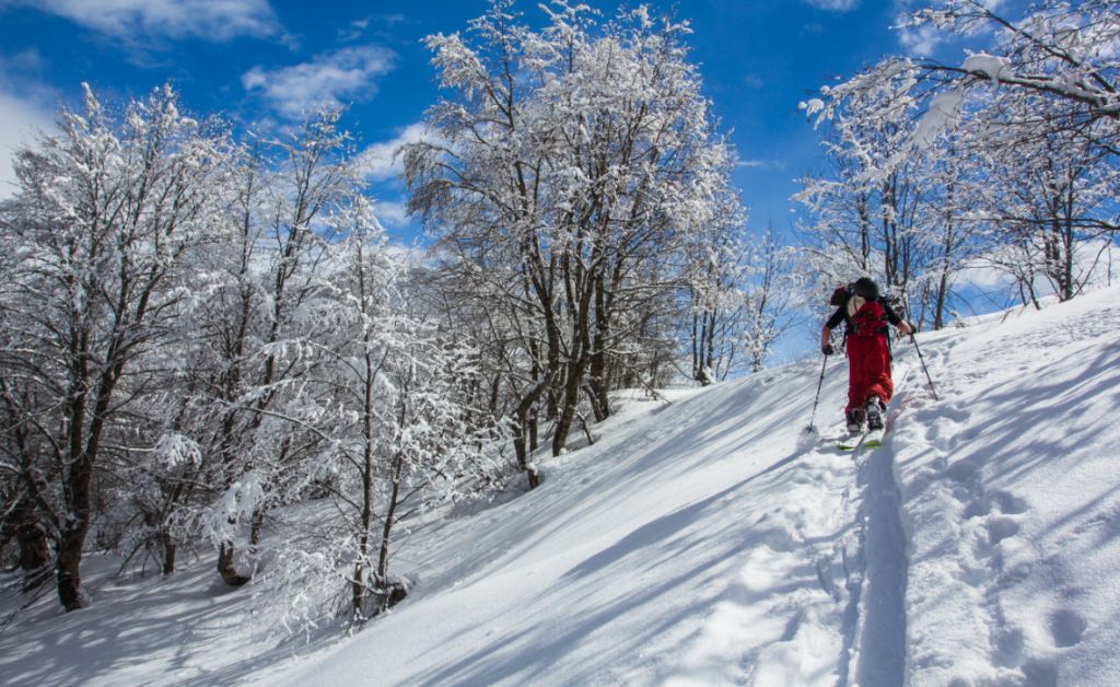- იანვარი რაჭა - დარჩა მხოლოდ ადგილი იჩქარეთ