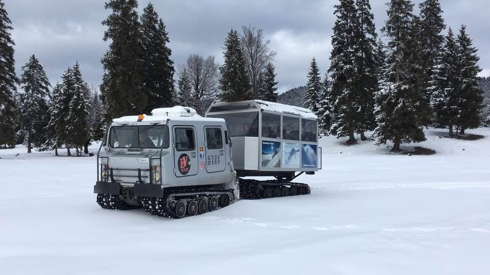 ბაკურიანის ტური  ჰაგლუნდით !!