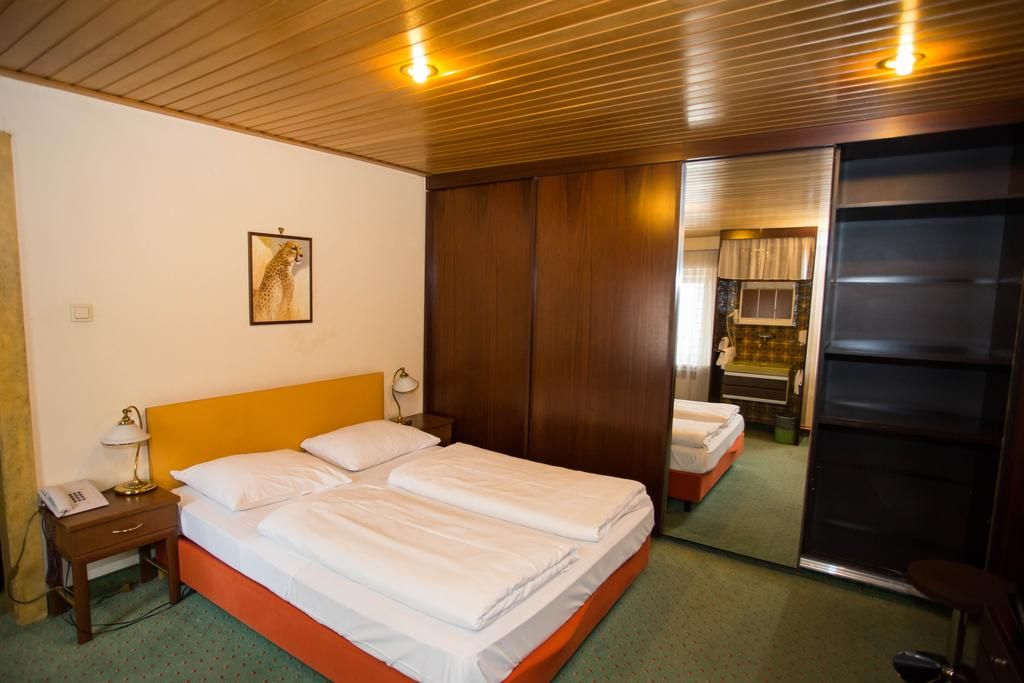 ვენა ავსტრია აქცია სრული პაკეტი !!!!!