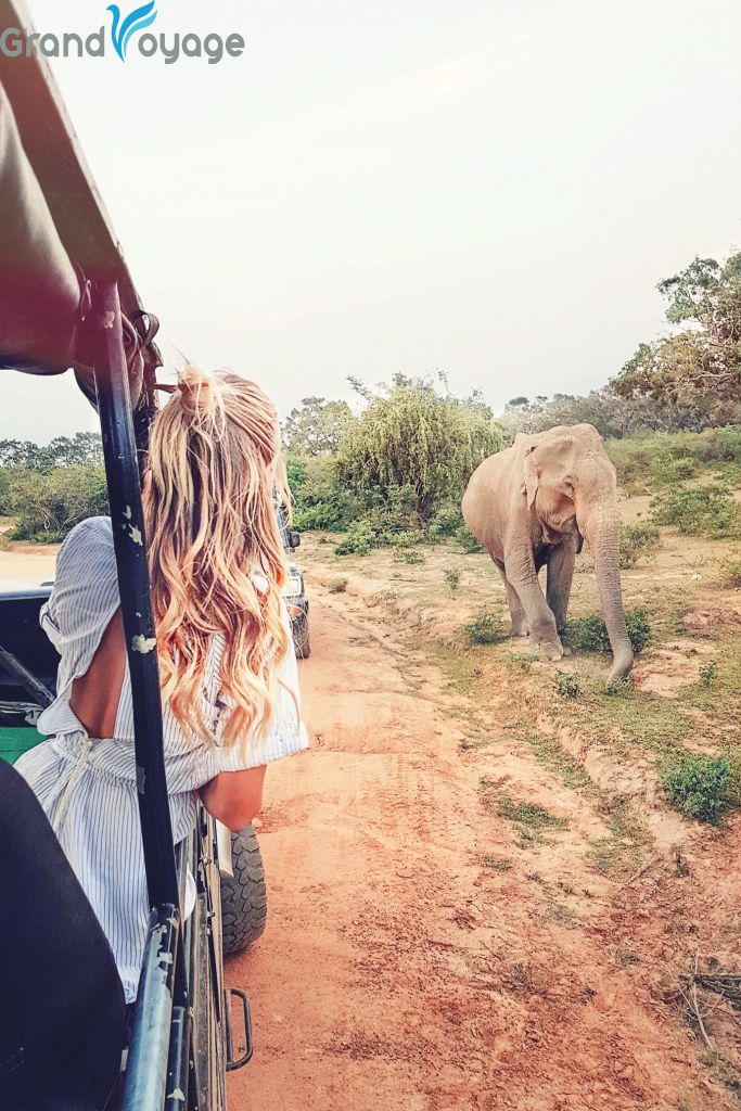 ტროპიკული კუნძული შრილანკა-ინდოეთის ოკეანეში