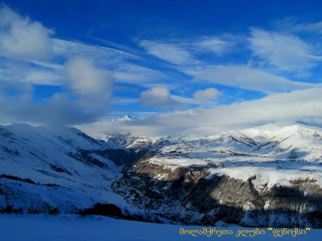 თოვლიანი ლომისა