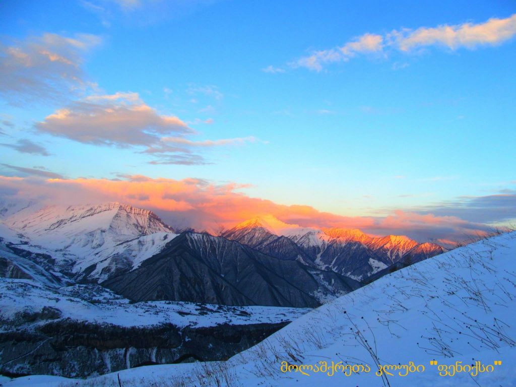 თოვლიანი ლომისა