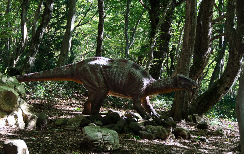 სათაფლიის ტური