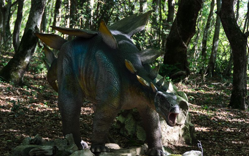 სათაფლიის ტური