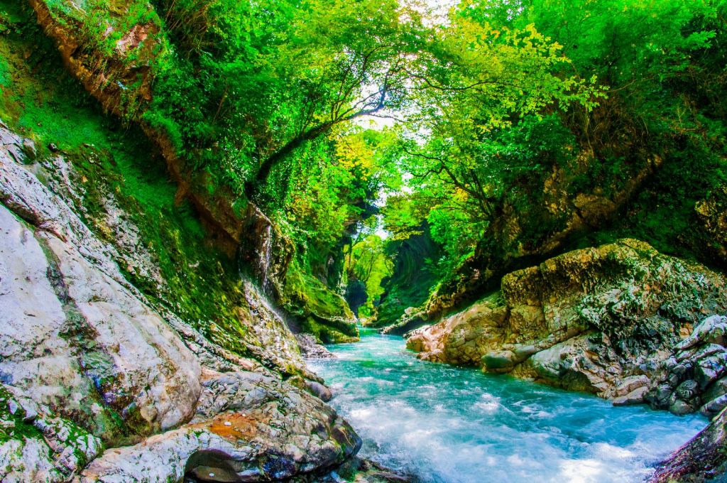 სამკურნალო კურორტები (ინდივიდუალური)