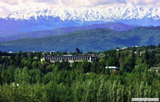 სამკურნალო კურორტები (ინდივიდუალური)