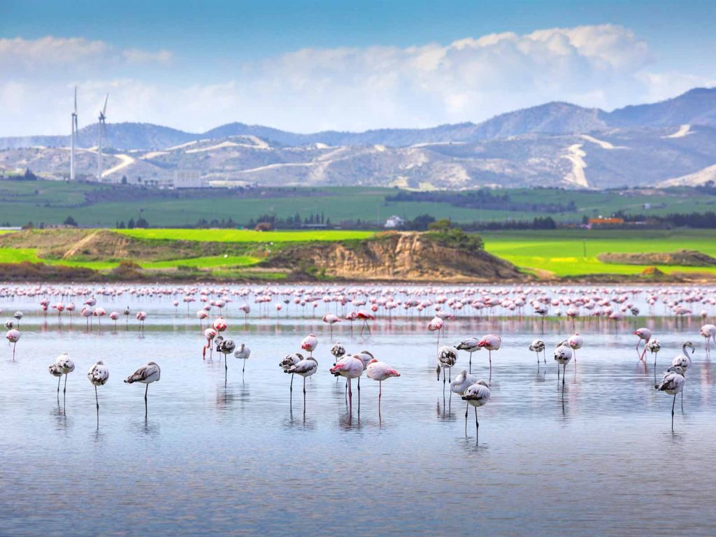 მოინახულე ულამაზესი კუნძულები