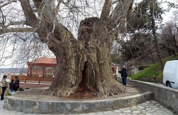 ტური კახეთში !