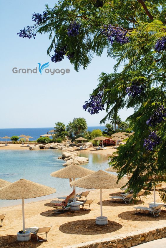 დღის შემოთავაზება, შარმ ელ შეიხი ☀