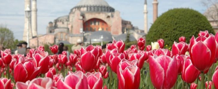 ტიტების ფესტივალი სტამბოლში- ❗❗❗