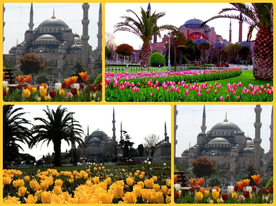 სიყვარულის დღე სტამბულში