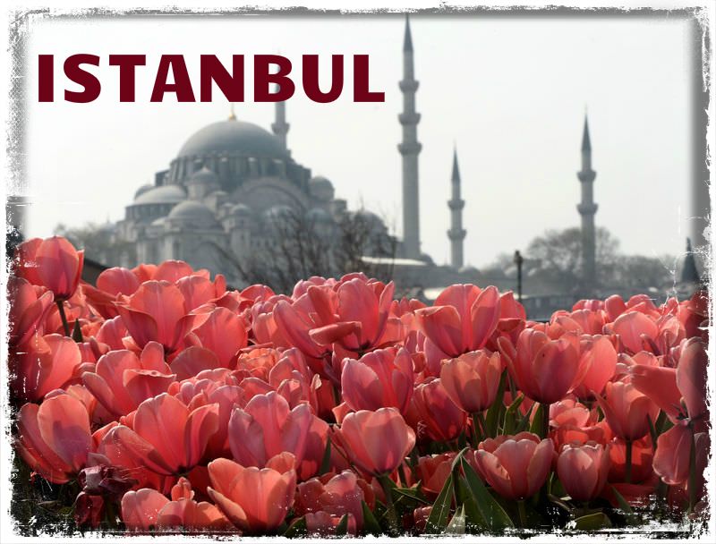 ტიტების ფესტივალი სტამბოლში -