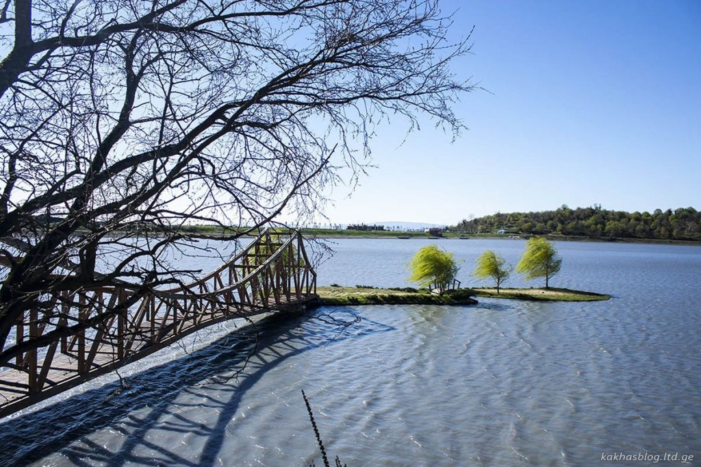 One-day tour in Kakheti
