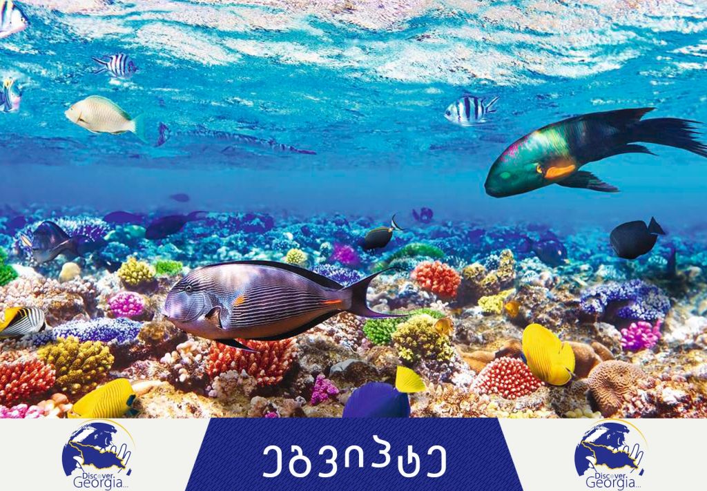 შარმ ელ შეიხი