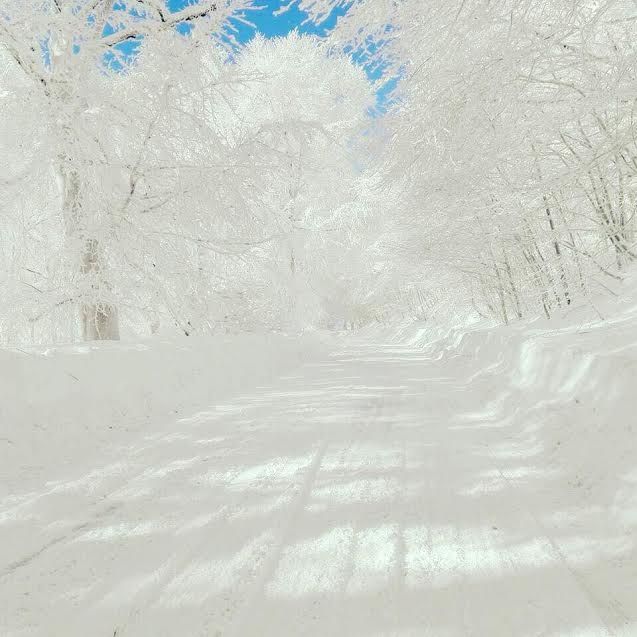 ყაზბეგის ტური