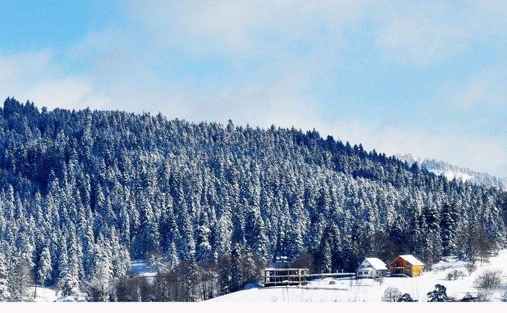 გახადე ეს შაბათი დღე დაუვიწყარი-ბაკურიანი გელის!