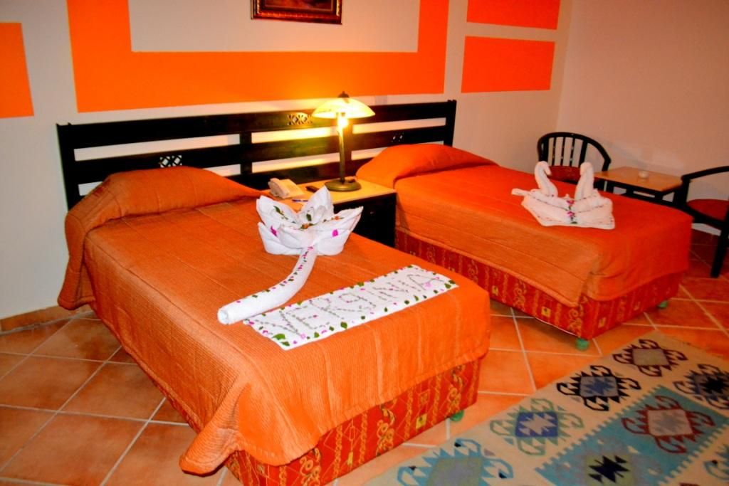 Day Share !!! Sharm-El-Sheikh at unbeleivable price !!!