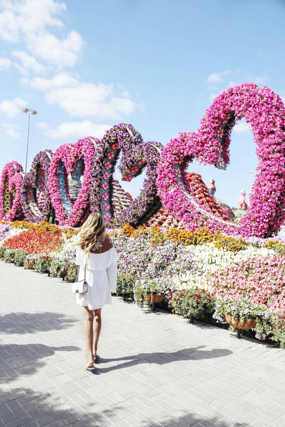 დაუვიწყარი მოგზაურობა დუბაიში  <