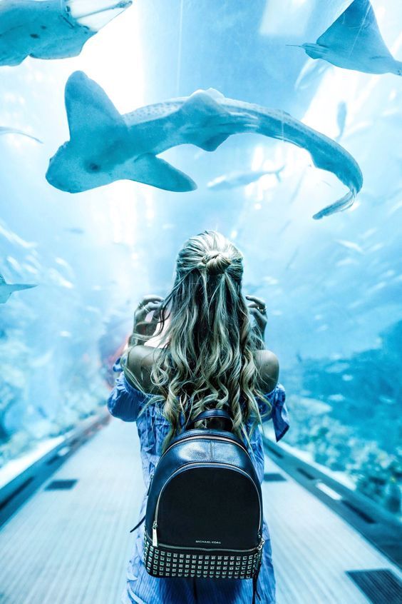 დაუვიწყარი მოგზაურობა დუბაიში  <