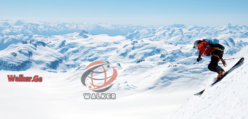 გუდაურის ერთდღიანი ტური