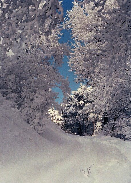 აბასთუმანი