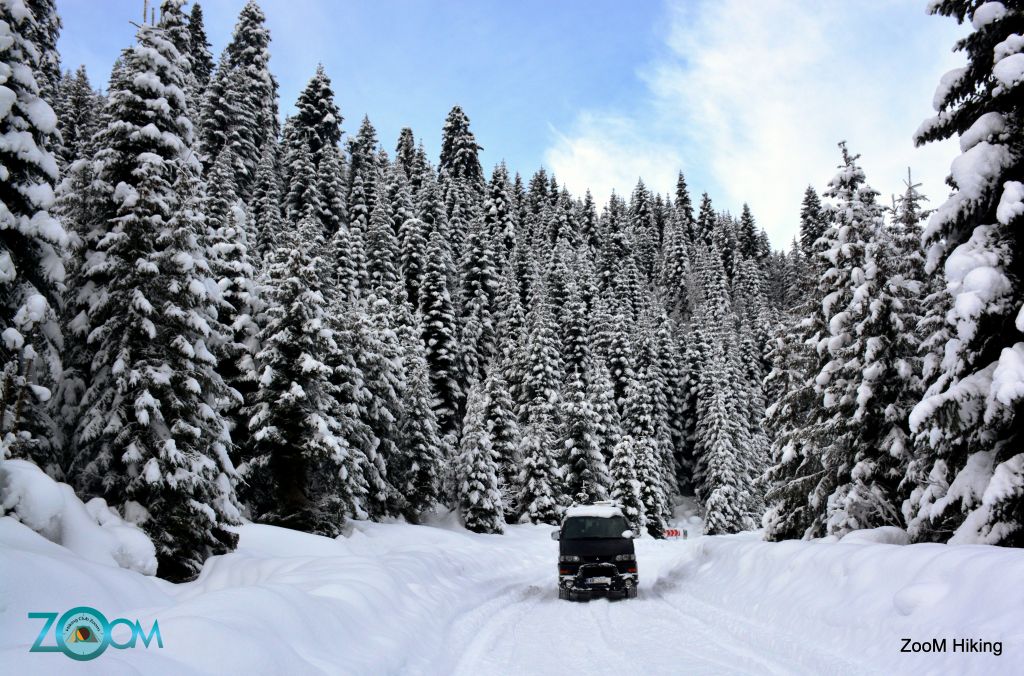 სვანეთი - თოვლიანი მთები დღე ZooM