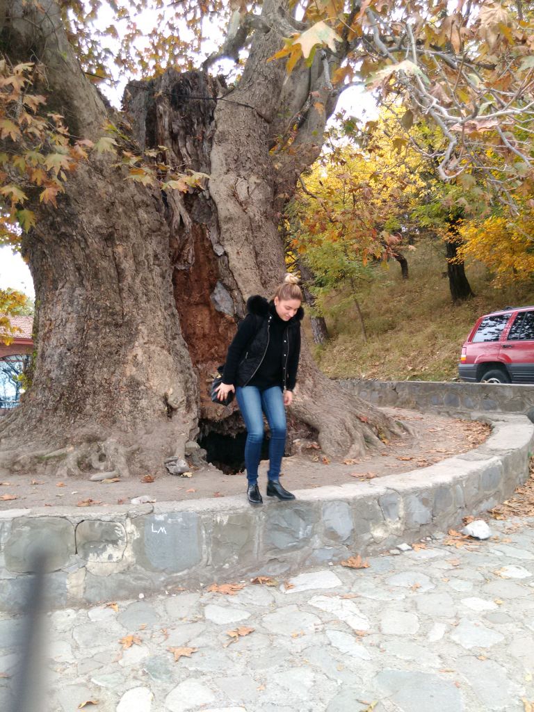 ტური კახეთში !