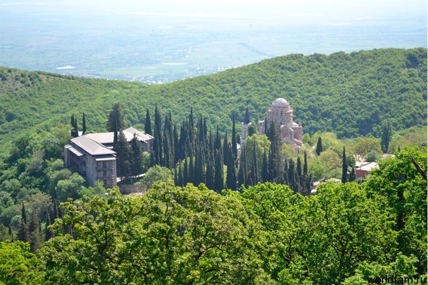 ღვინის ტური კახეთში