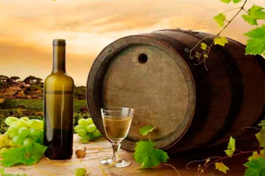 ღვინის ტური კახეთში