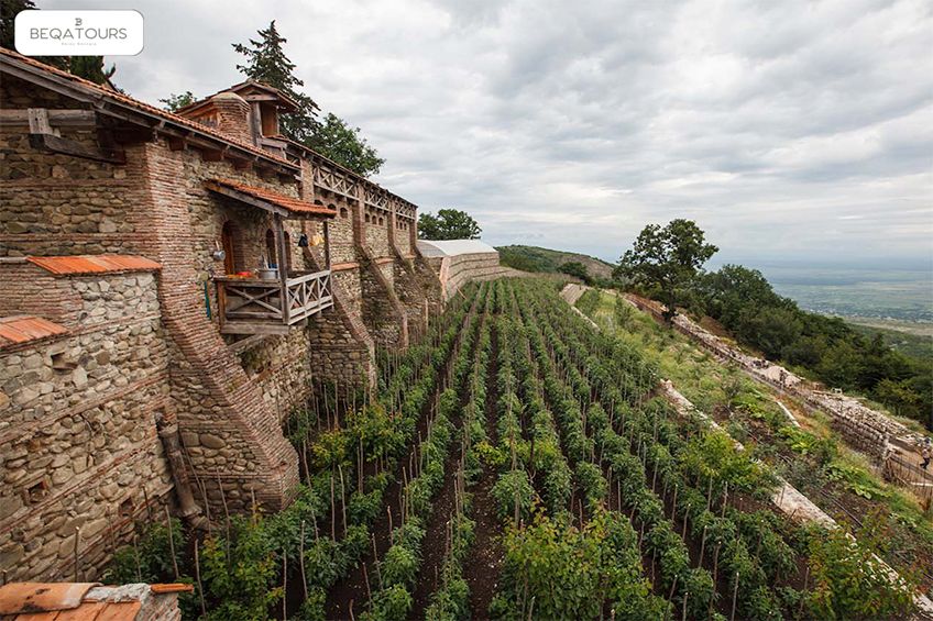 ღვინის ტური კახეთში