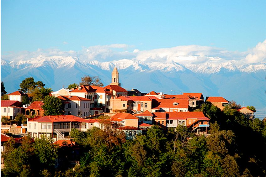 ღვინის ტური კახეთში