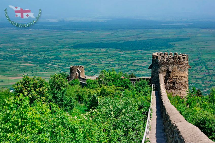 ღვინის ტური კახეთში