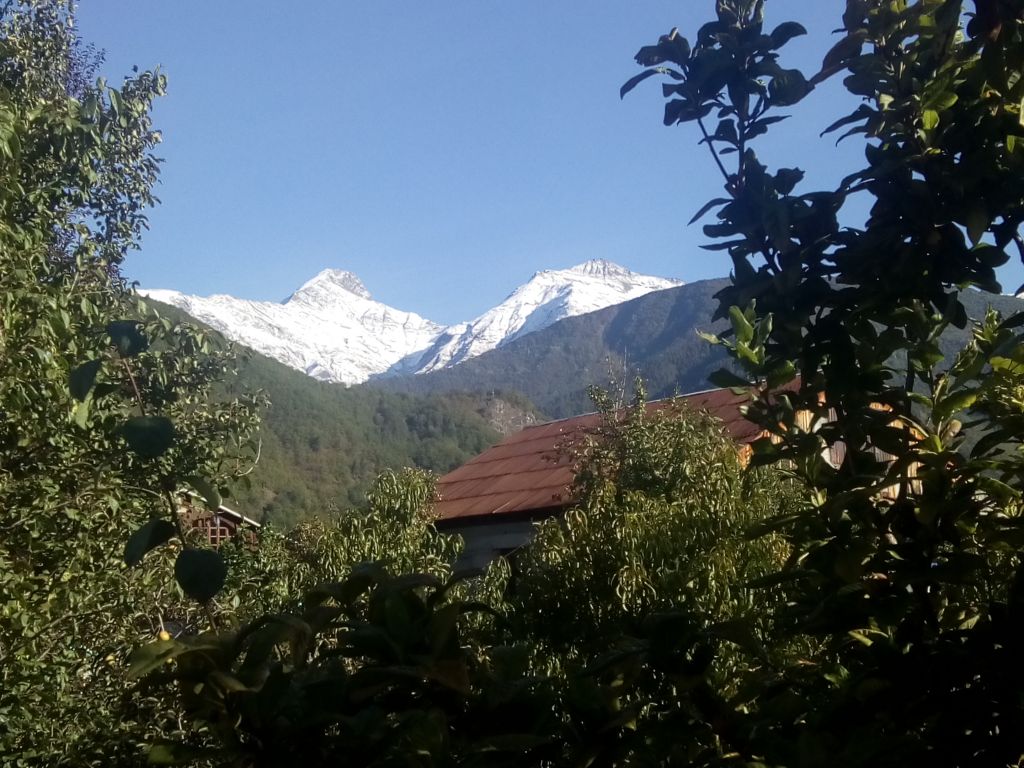 ეკო ერა გართობა