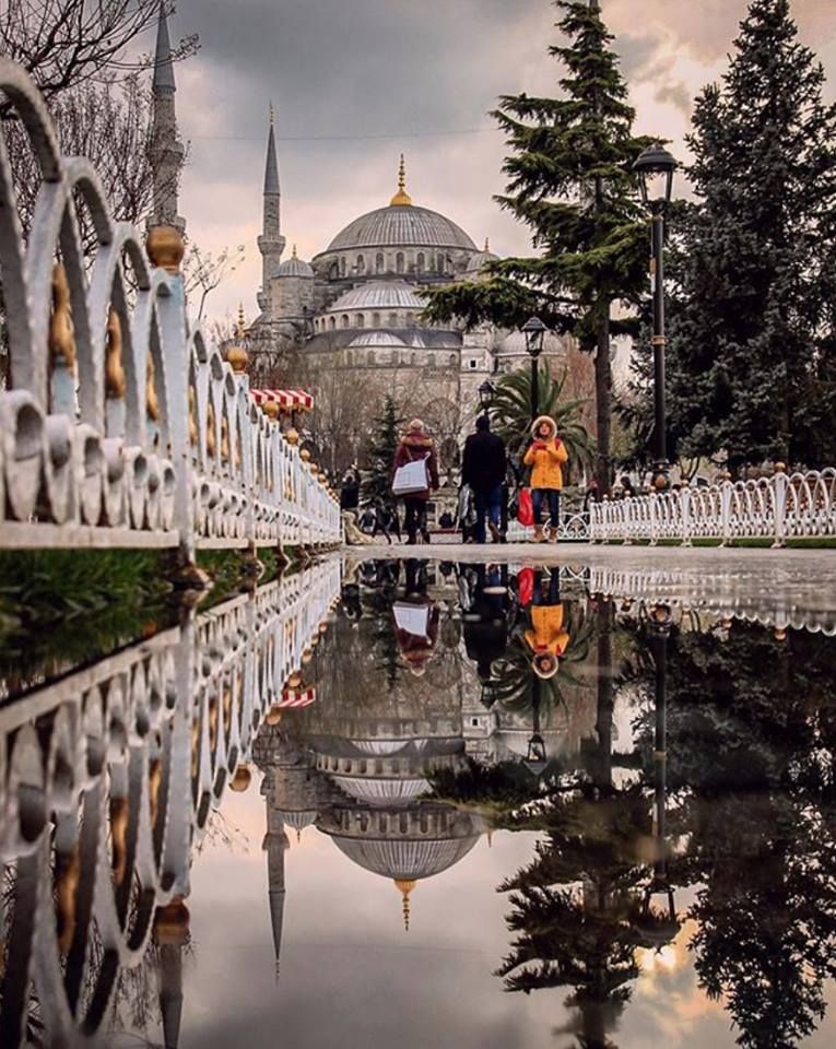 აჩუქეთ ქალბატონებს დაუვიწყარი მოგონებები საგაზაფხულოდ!