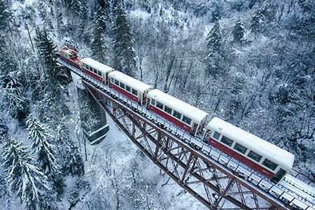 ბაკურიანი/კუკუშკა/დიდველი/ტიმოთესუბანი (ყველაზე კომფორტული ტური)