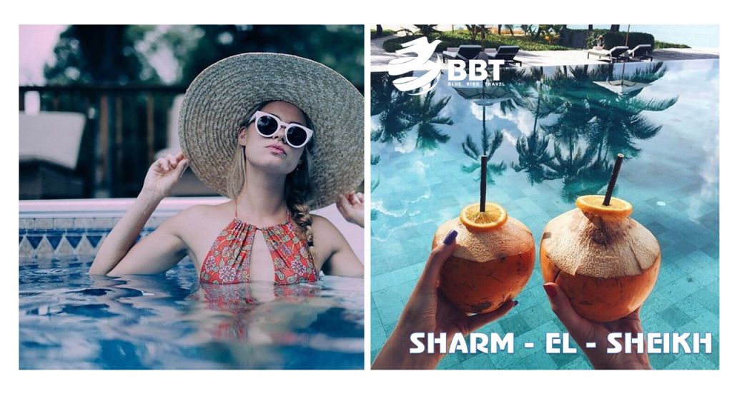 ეგვიპტე - თქვენი იდეალური დასვენებისთვის! !