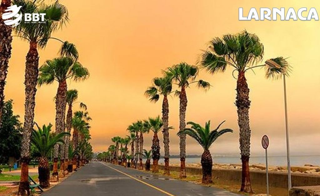 ლარნაკა - !