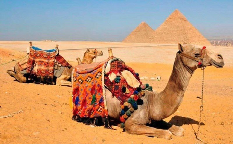 იმოგზაურე ეგზოტიკურ ეგვიპტეში 730 ლარიდან   17-24 თებერვალს !!!!