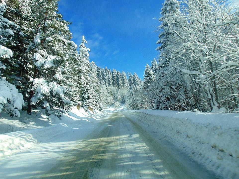 ბაკურიანი-კუკუშკა