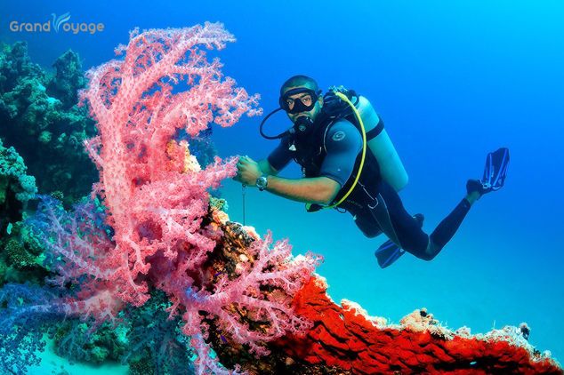 გაიფერადე ზამთარი შარმში!