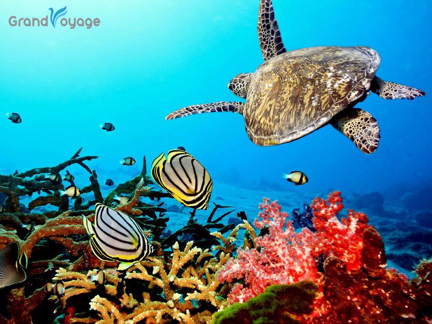 გაიფერადე ზამთარი შარმში!